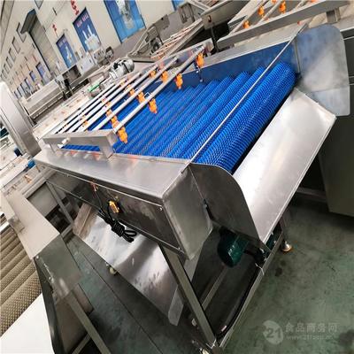 果蔬清洗去杂设备 现代食品加工的高效卫士